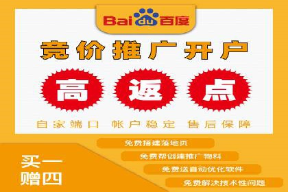 百度推广实战：成功案例解析